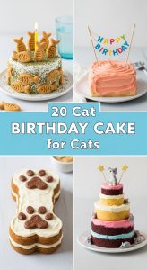 20 Cat Birthday Cake for Cats